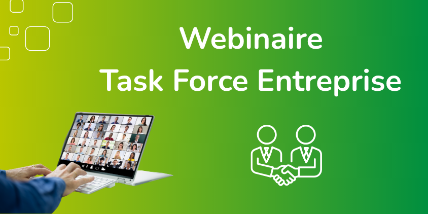 visuel Webinaire Task Force Entreprise